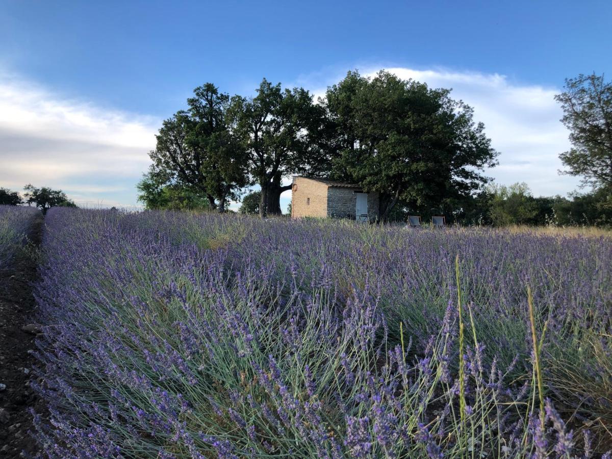 Cabanon Du Berger Saignon Exterior foto